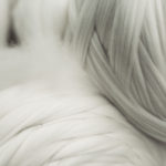 lanificio_fratelli_cerruti_nino_cerruti_marco_taddei